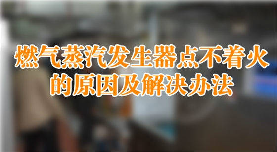 燃气蒸汽发生器