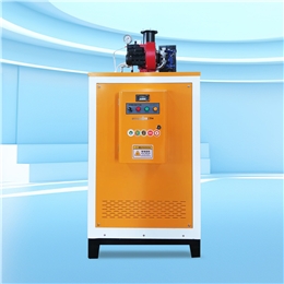 NBS-0.1/0.2/0.3-Q 燃气蒸汽发生器