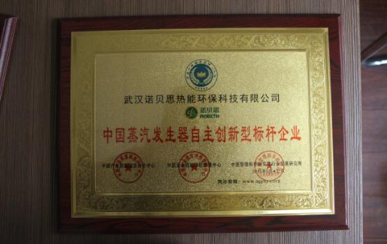 中国蒸汽发生器自主创新型标杆企业