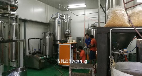 电加热蒸汽发生器应用