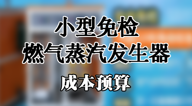 小型免检燃气蒸汽发生器