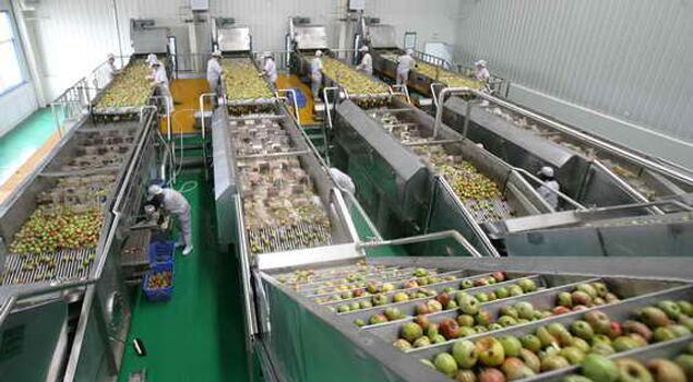 饮料包装蒸汽发生器