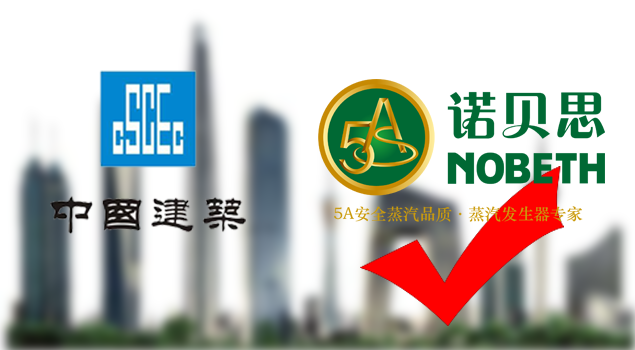 B级锅炉企业