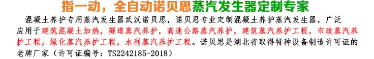 50-75kg/h混凝土养护小型蒸汽发生器简介