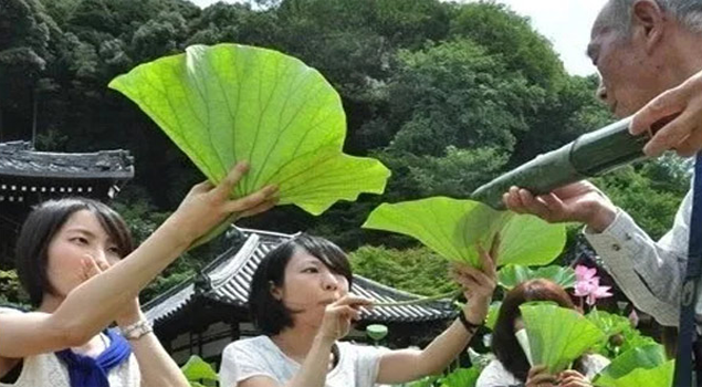 荷叶酒酿酒蒸汽发生器