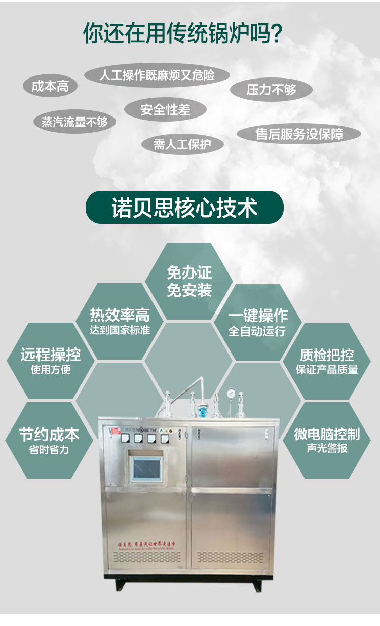 诺贝思NBS-定制型立式不锈钢过热器核心技术