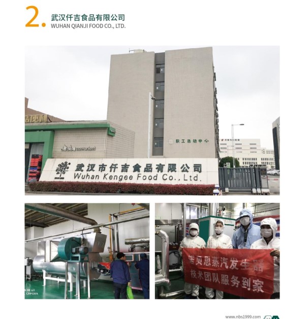 燃气蒸汽发生器助力食品加工行业升级
