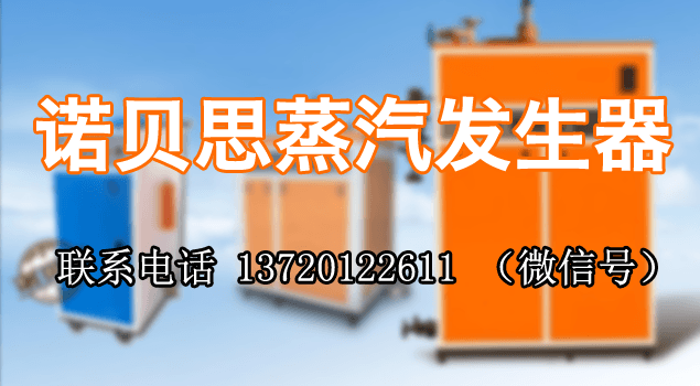 武钢集团购诺贝思蒸汽发生器用于食堂蒸饭保温