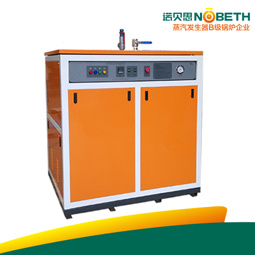 100kg/h实验研究小型蒸汽发生器
